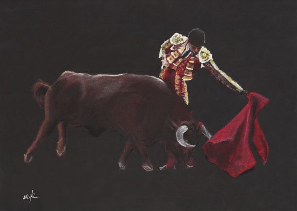 spanish Bullfighter