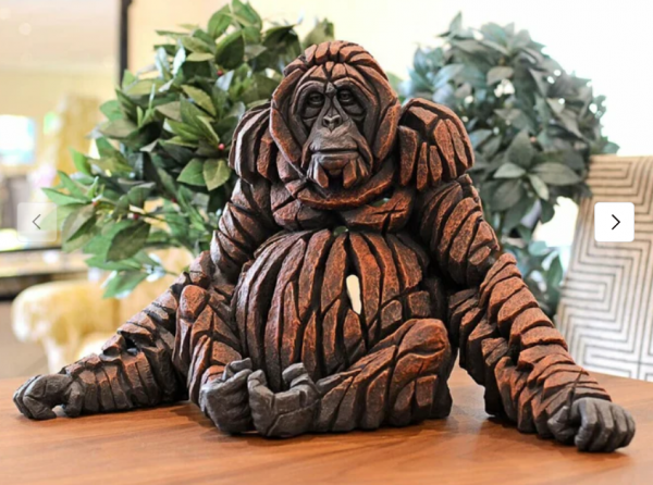 Orangutan