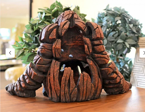 Orangutan - Image 3