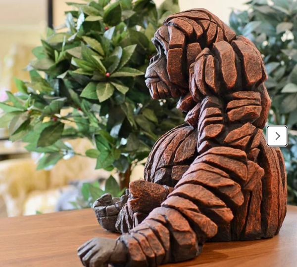 Orangutan - Image 4