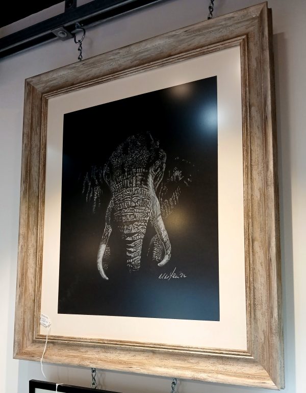 Elephant Portrait - Image 2