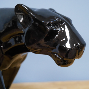 Black Leopard