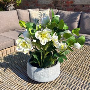 Faux Flower White Hellebore Plant In Grey Pot