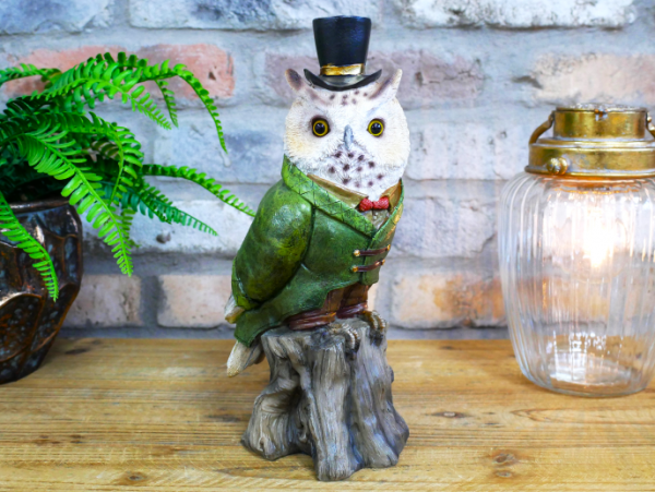 Owl in Suit