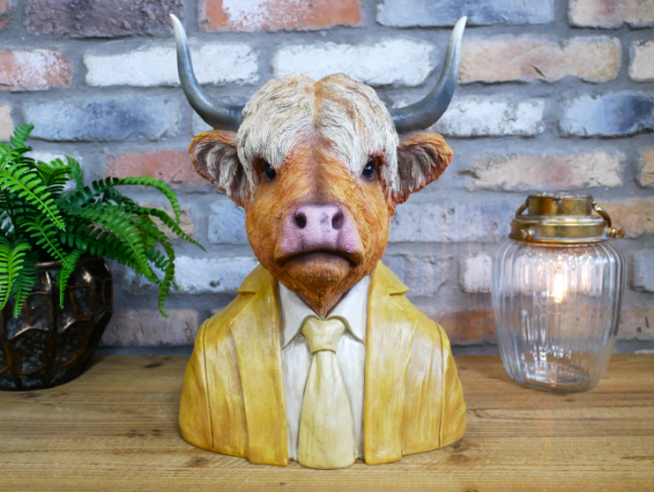 Highland Cow